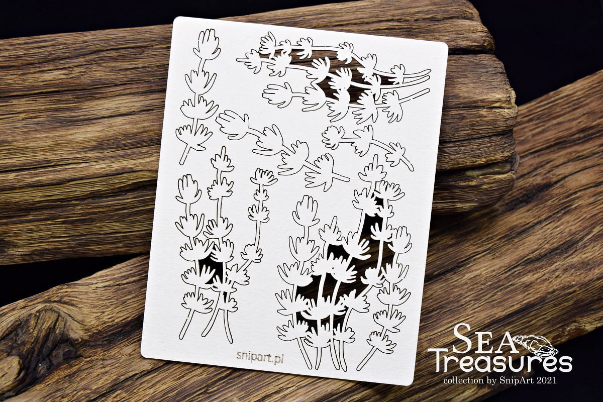 Snipart Sea Treasures Seaweed 1