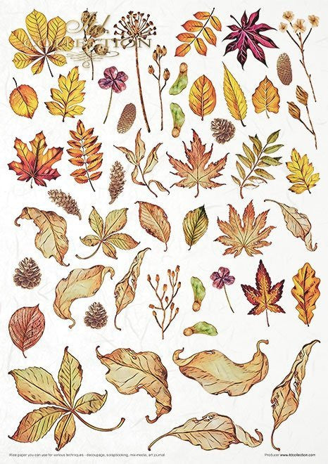 ITD Collection Mysterious Forest 11 Pack Rice Papers
