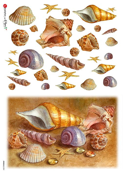 Paper Designs Seashells on the Beach Rice Paper