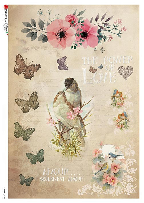 Paper Designs Bird Portrait The Power of Love Rice Paper