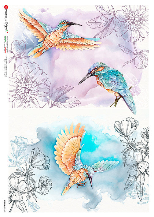 Paper Designs Colorful Hummingbirds 2 Scenes Rice Paper