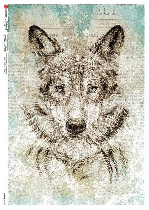 Paper Designs Wolf Portrait