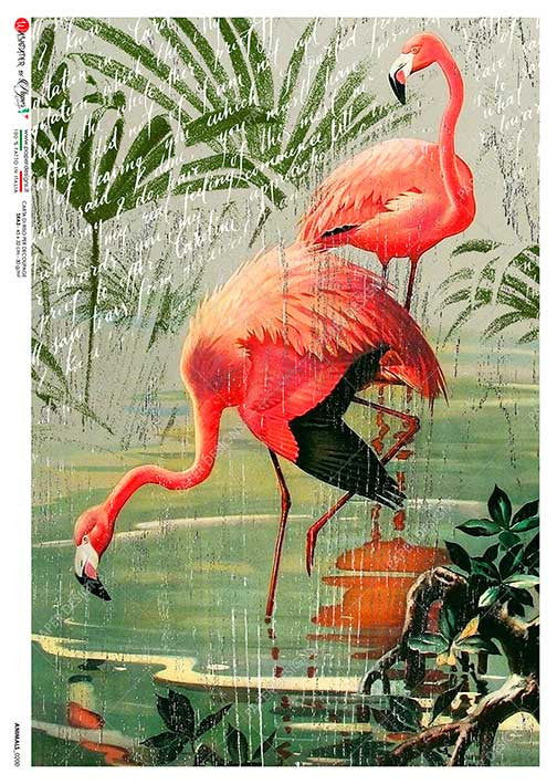 Paper Designs Two Pink Flamingos at the Pond Rice Paper
