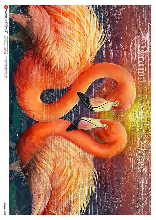 Paper Designs Two Lovebird Flamingos