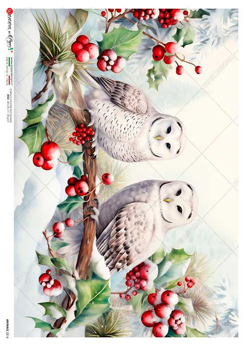 Paper Designs Two Festive Owls Rice Paper