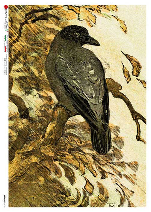 Paper Designs Hoytema Black Raven