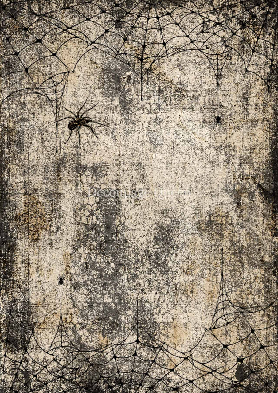 Webs and Spiders