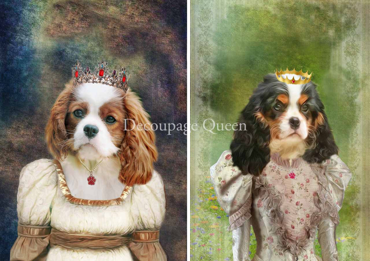 Roberta Marone - The Cavalier Ladies