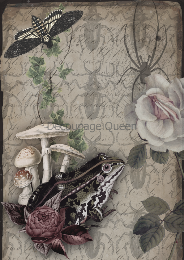 Decoupage Queen Dainty and the Queen - Diary Entries