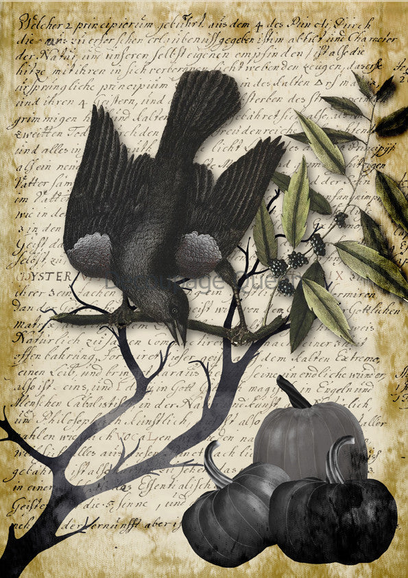 Decoupage Queen Raven Grimoire I