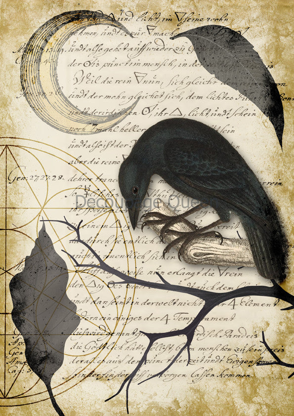 Decoupage Queen Raven Grimoire IV