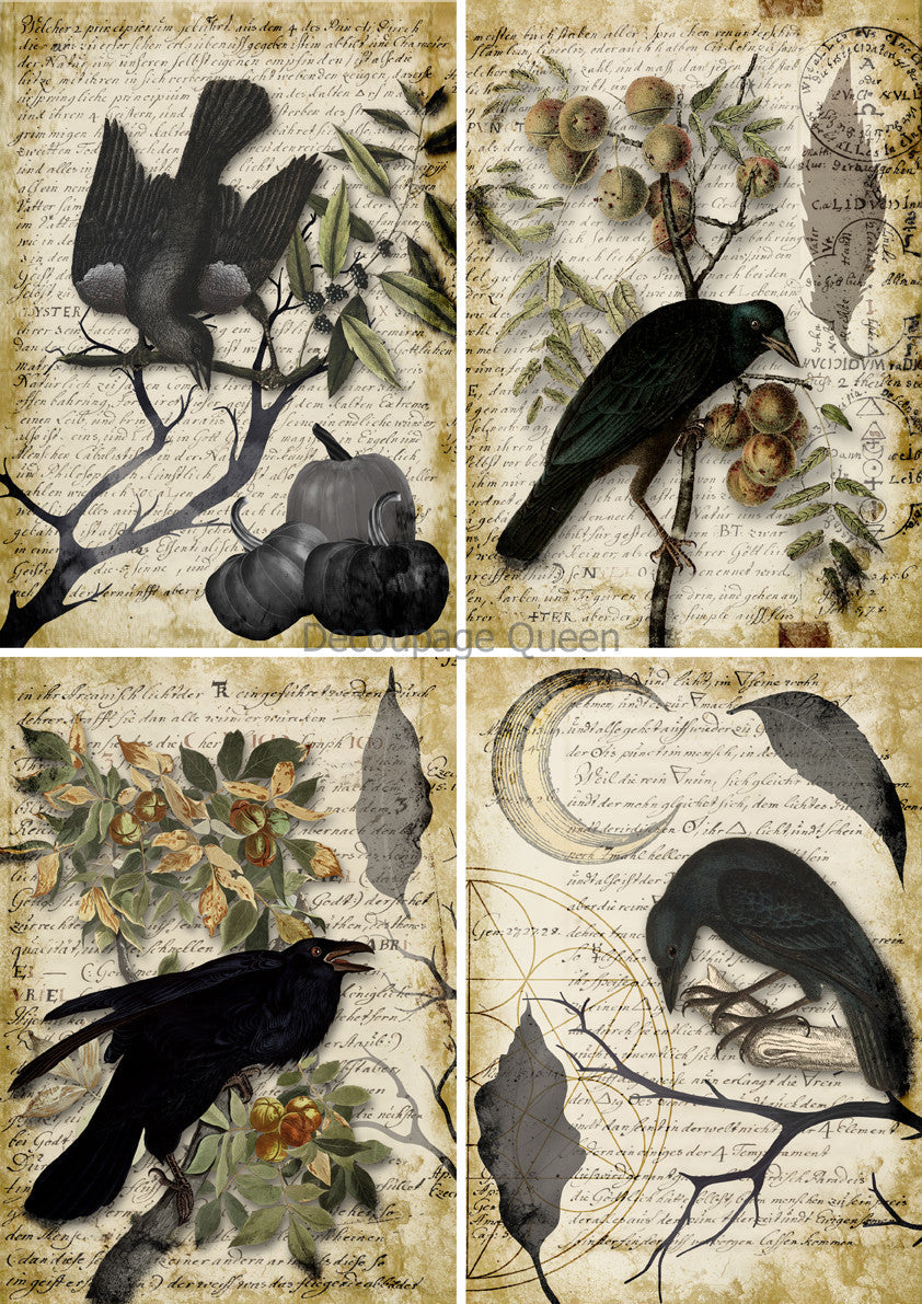 Vellum Paper - Raven Grimoire 4 Pack