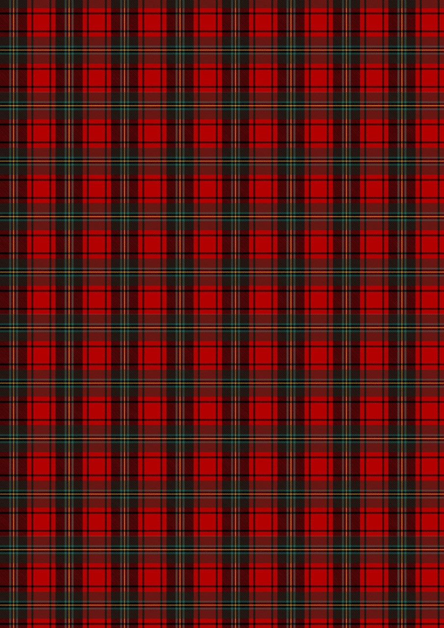 Slumber - Winter Plaids and Calicoes - ellen j goods