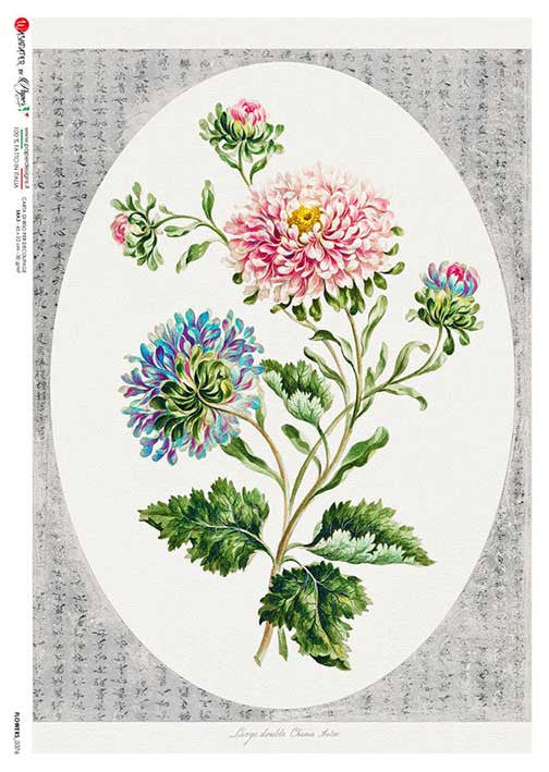 Paper Designs Vintage Chrysanthemums