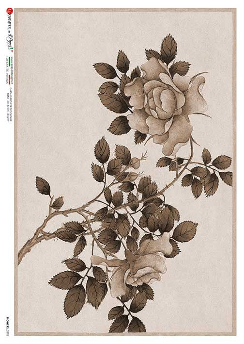 Paper Designs Vintage Neutral Roses