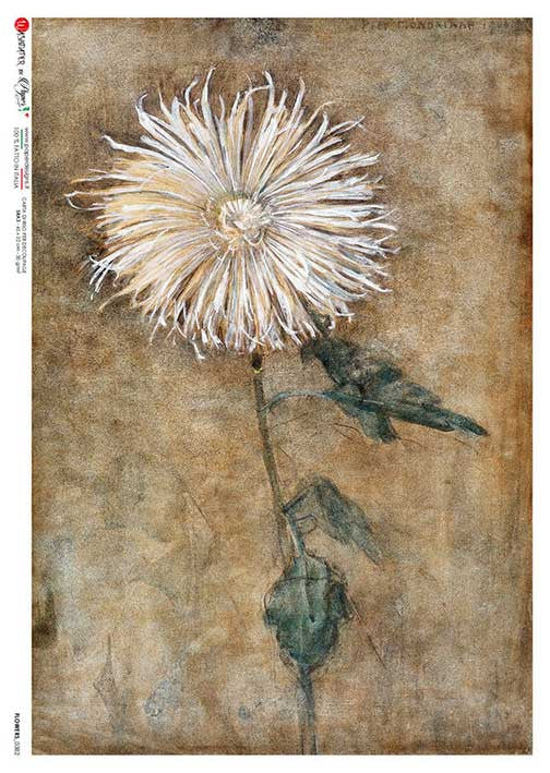 Mondrian Chrysanthemum