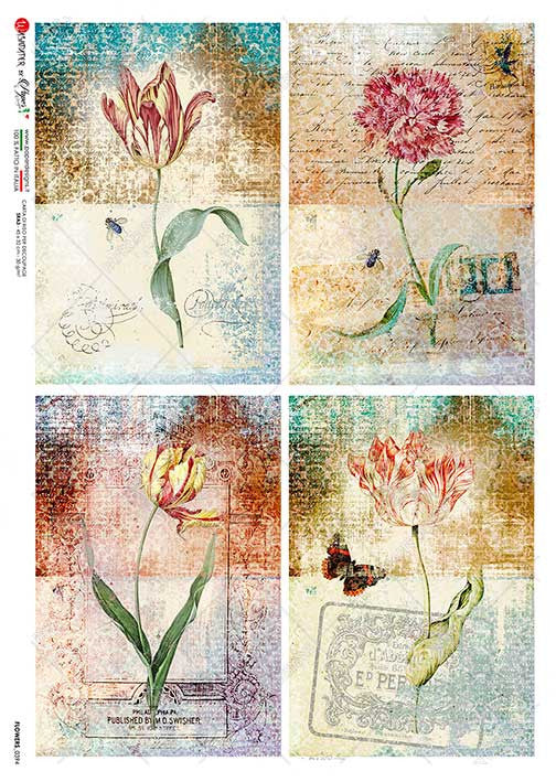 Paper Designs Grungy Floral 4 Pack