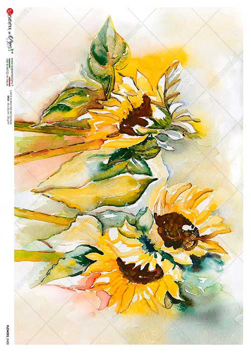 Paper Designs Watercolor Sunflowers