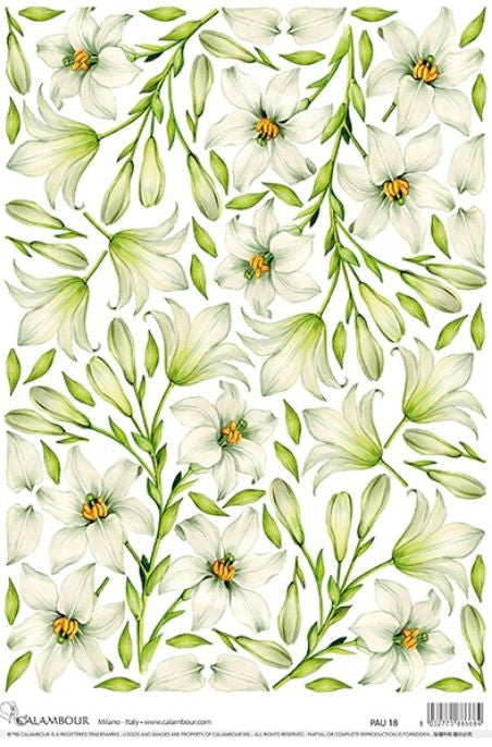 Calambour Magnolia Patterns A3 Rice Paper