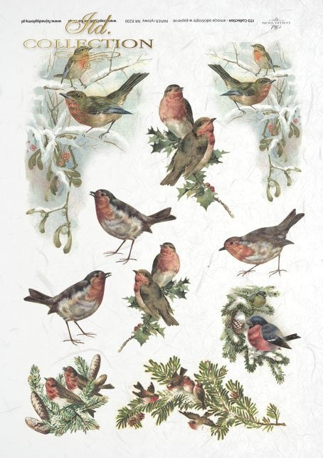 ITD Rice Paper Winter Birds A4