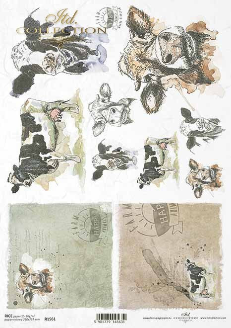ITD Rice Paper Cow Portraits A4