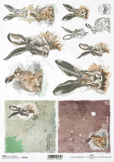 ITD Collection Farm Bunny Portraits