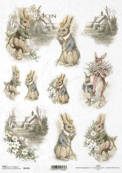 ITD Collection Established Bunnies