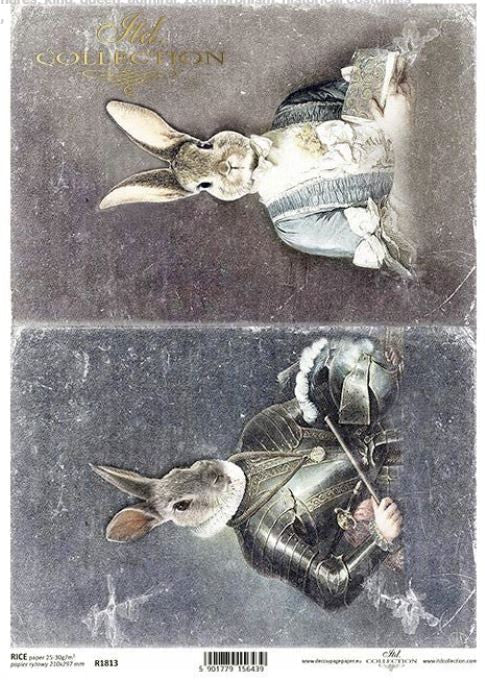 ITD Collection Bunny Portraits