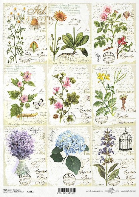 ITD Collection Mini Herbal Cards Hydrangeas R2082