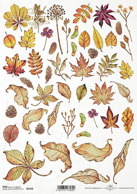 ITD Collection Autumn Leaves Rice Paper