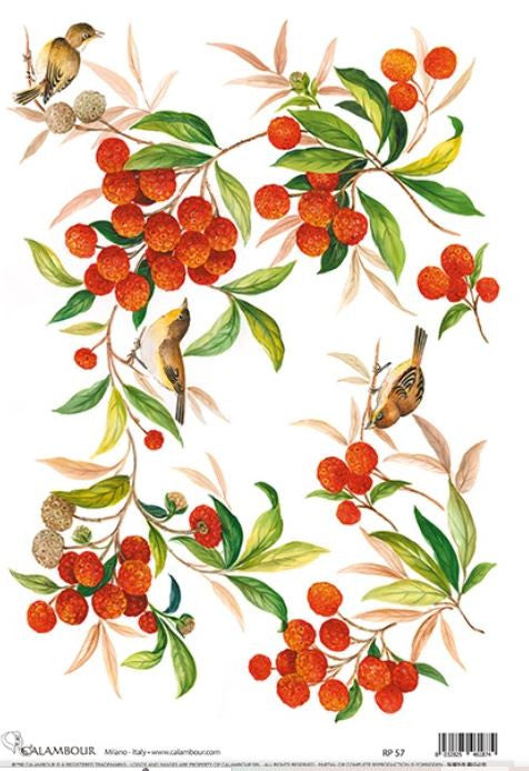 Calambour Birds and Red Berries A3 Rice Paper