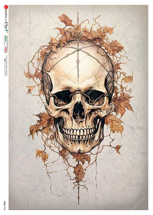 Paper Designs Fallen