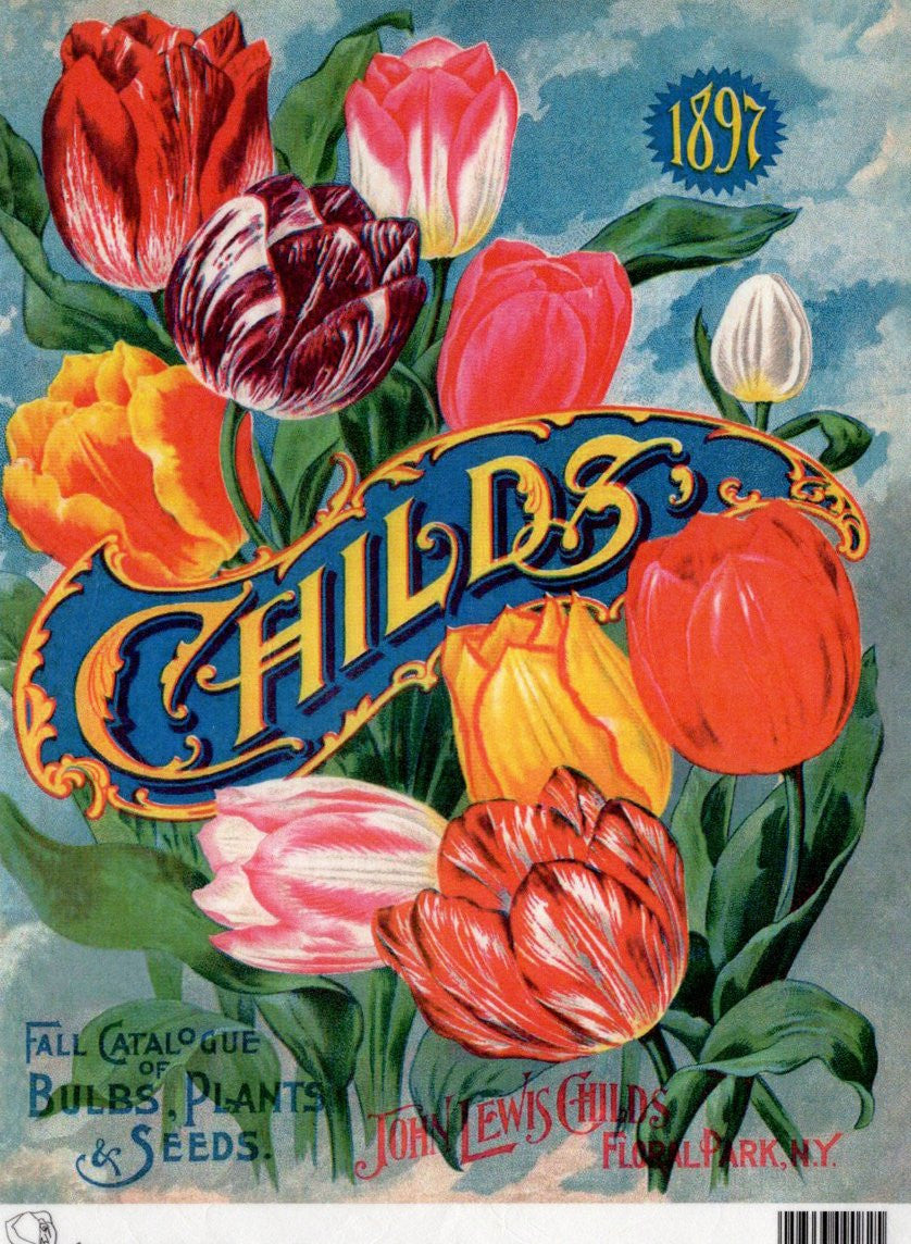 Calambour Child's 1897 Fall Catalog of Bulbs Plants and Seeds A4 Rice Paper