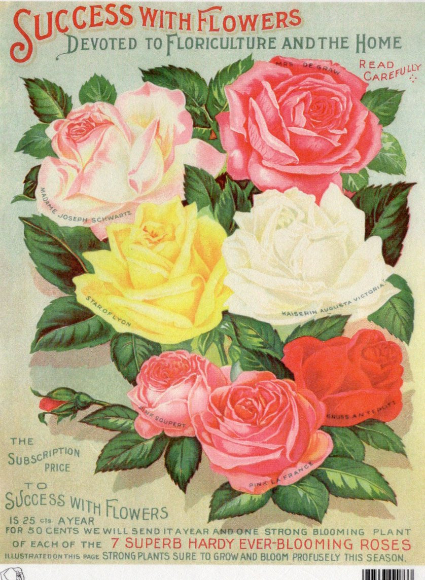Calambour Success with Flowers Roses A4 Rice Paper