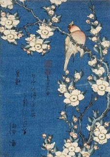 Blue Inked Bird