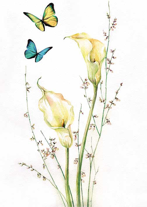 Paper Designs Calla Lillies with Butterflies