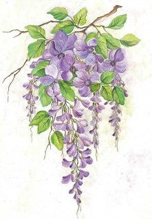 Paper Designs Wisteria