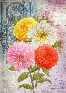 Paper Designs Carnations