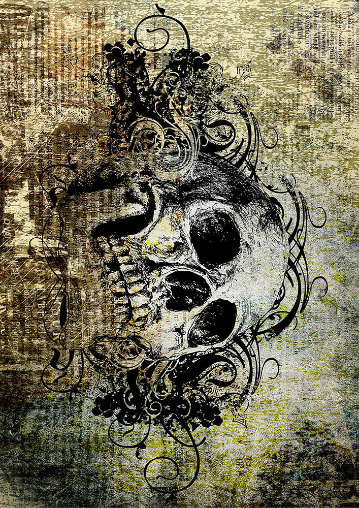 Skull