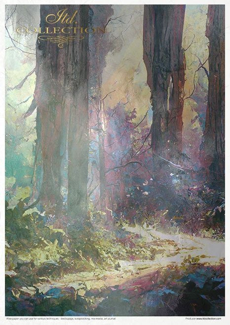 ITD Collection Mysterious Forest 11 Pack Rice Papers
