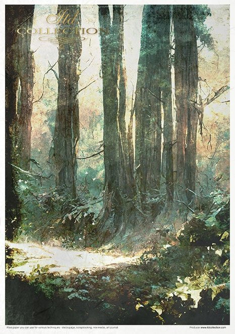 ITD Collection Mysterious Forest 11 Pack Rice Papers