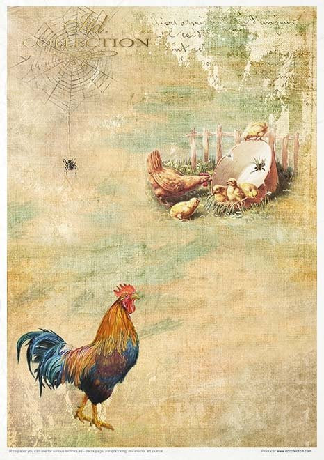 ITD Collection Rice Paper Pack of 11 A4 Spring Impressions