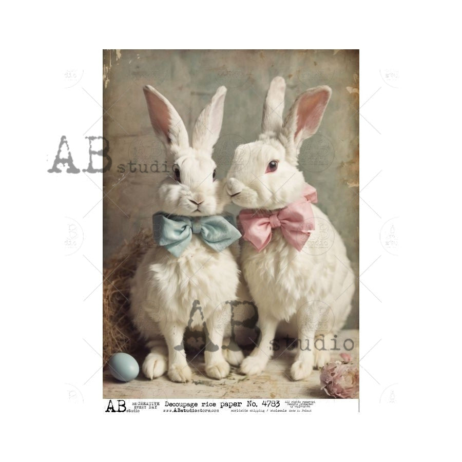 AB Studios White Boy and Girl Bunny A4 Rice Paper