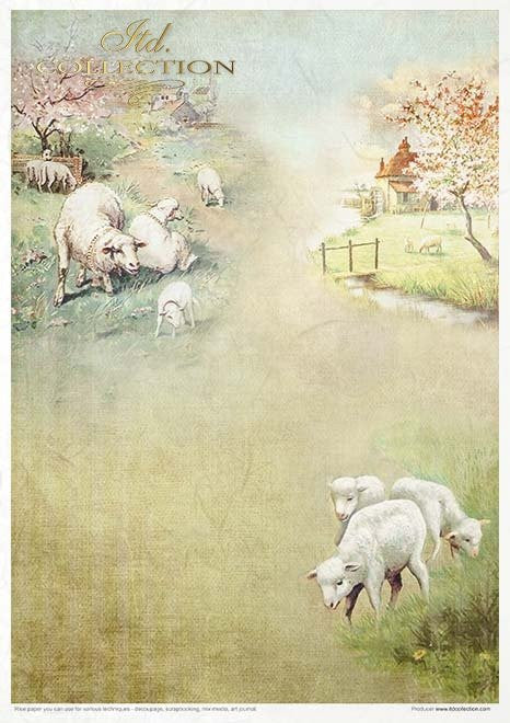 ITD Collection Rice Paper Pack of 11 A4 Spring Impressions