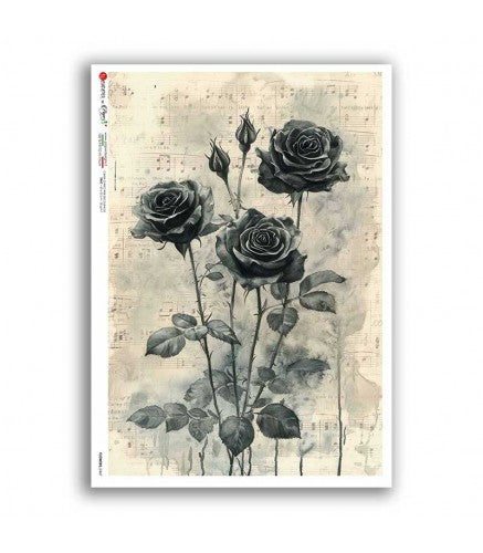 Nocturne Roses