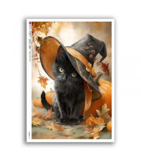 Black Kitten in Witch Hat