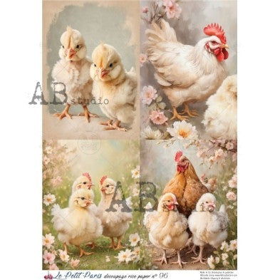 Le Petit Paris – Spring Chickens & Chicks Collection