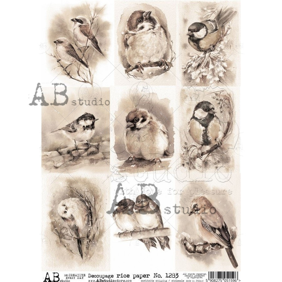 AB Studios 9 Pack Sepia Birds A4 Rice paper