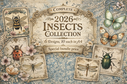 Iveta Ziedina Insects 2026 Complete Collection (6 designs)