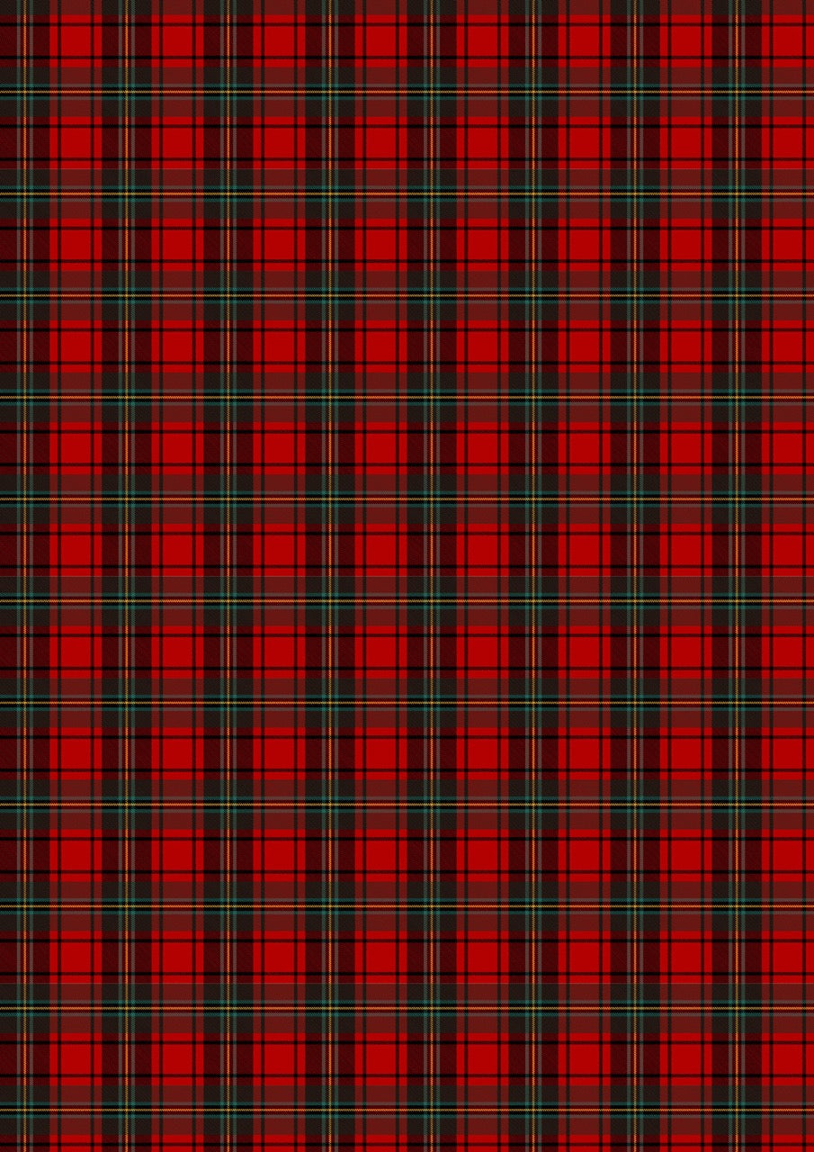 Slumber - Winter Plaids and Calicoes - ellen j goods
